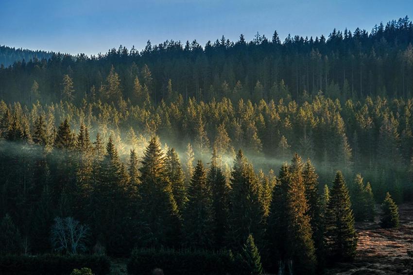 Horska Kvilda - Ubytovani U Chvalu Extérieur photo