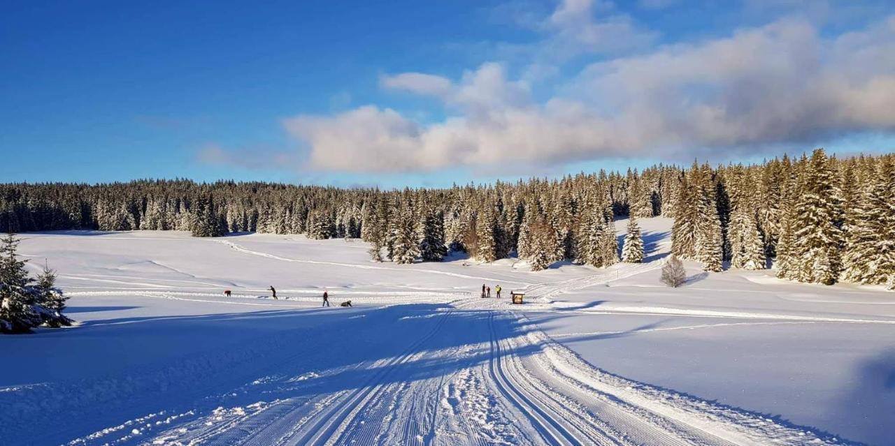 Horska Kvilda - Ubytovani U Chvalu Extérieur photo
