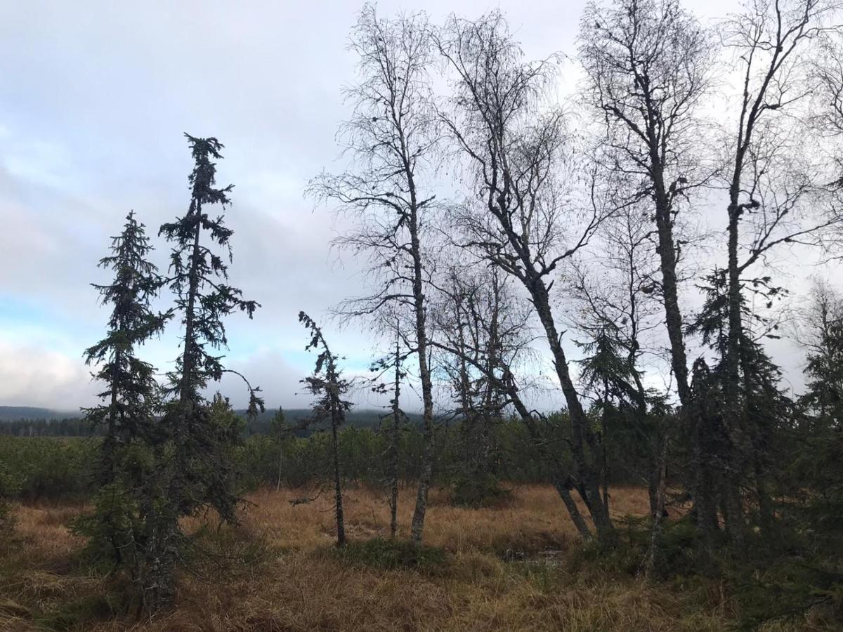 Horska Kvilda - Ubytovani U Chvalu Extérieur photo