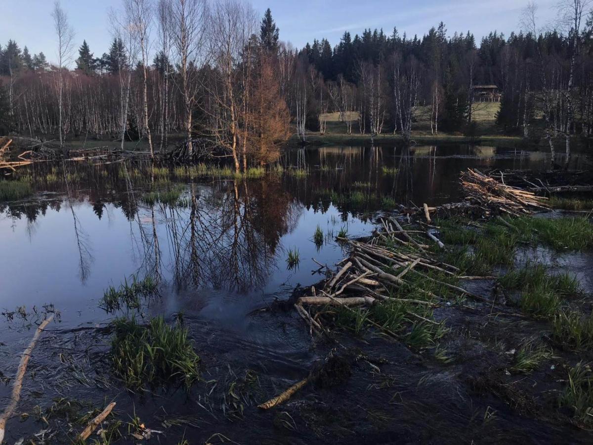 Horska Kvilda - Ubytovani U Chvalu Extérieur photo