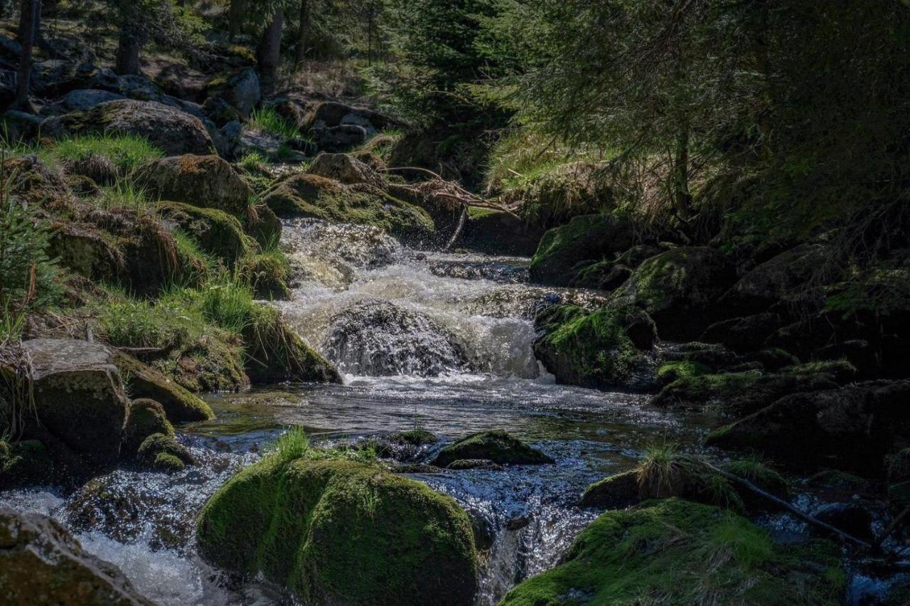 Horska Kvilda - Ubytovani U Chvalu Extérieur photo