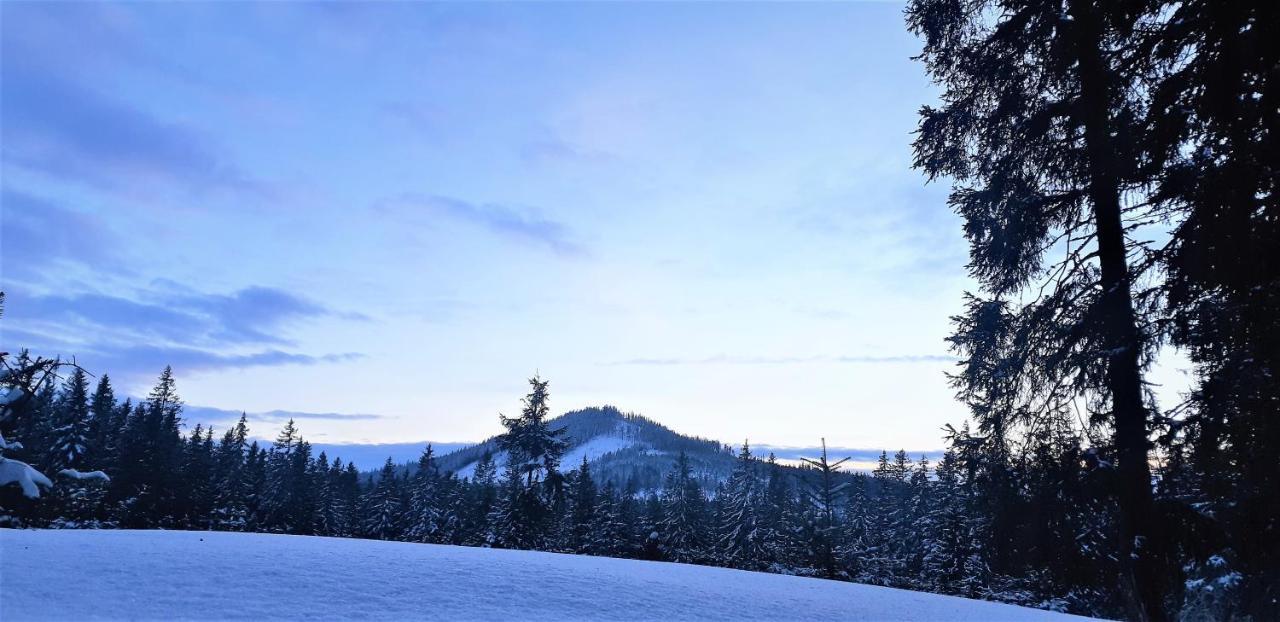 Horska Kvilda - Ubytovani U Chvalu Extérieur photo