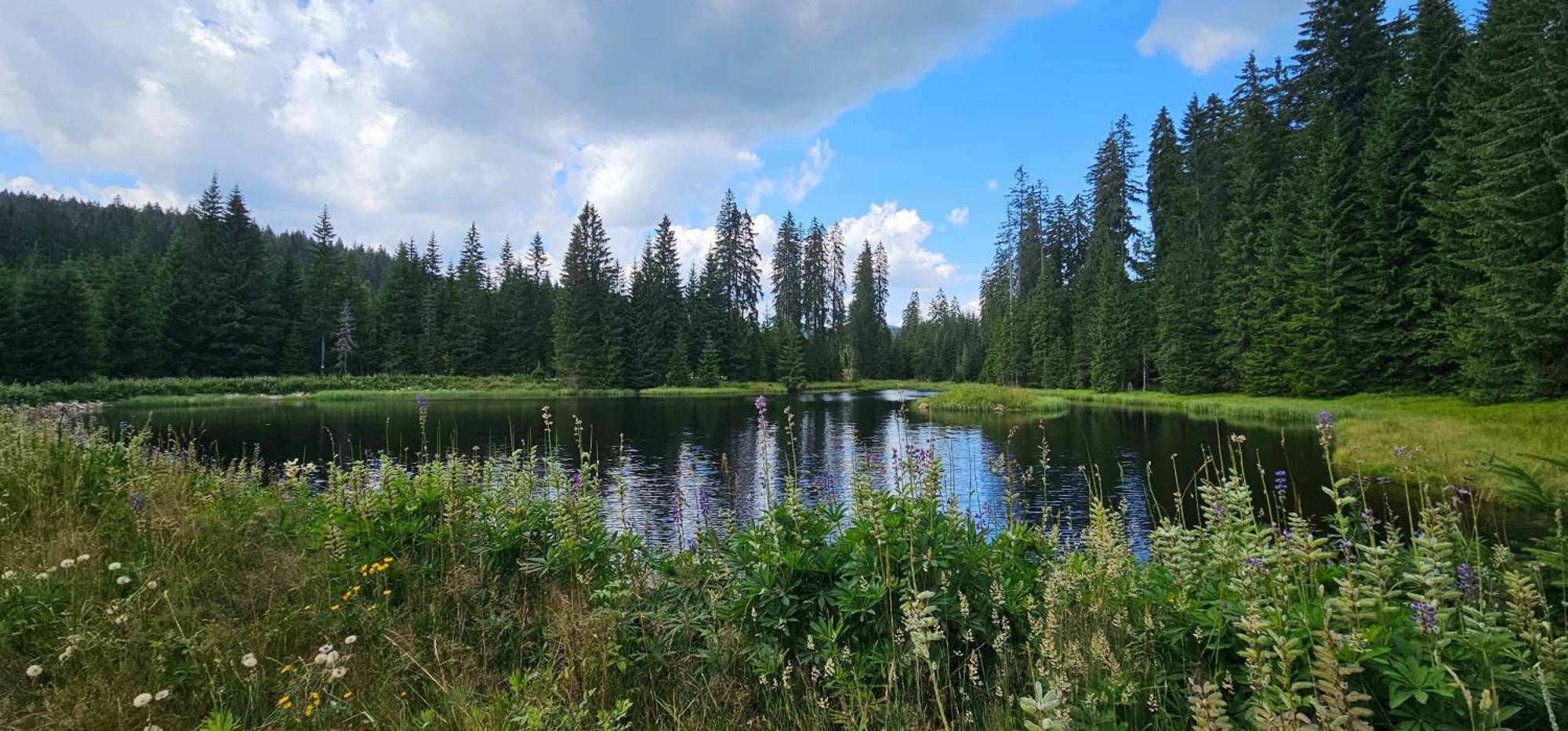 Horska Kvilda - Ubytovani U Chvalu Extérieur photo
