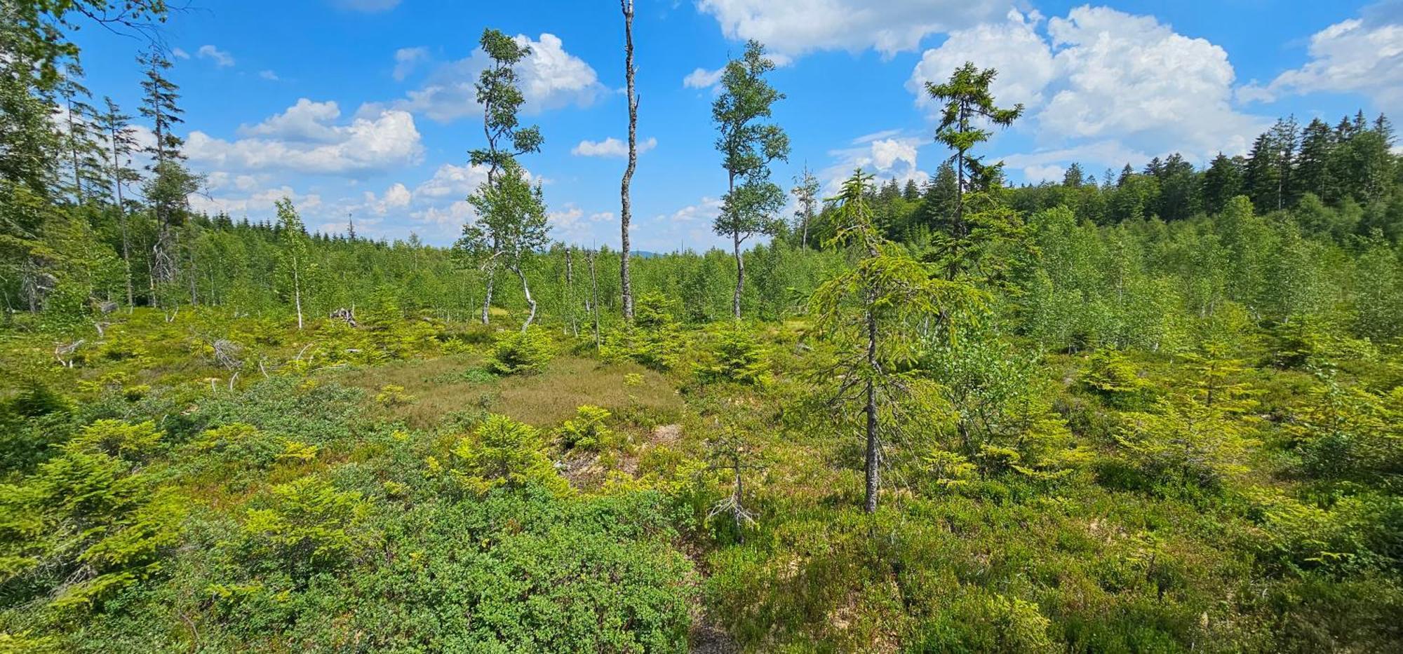 Horska Kvilda - Ubytovani U Chvalu Extérieur photo