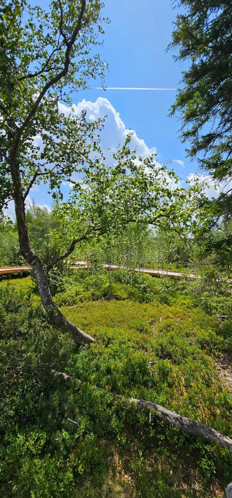Horska Kvilda - Ubytovani U Chvalu Extérieur photo