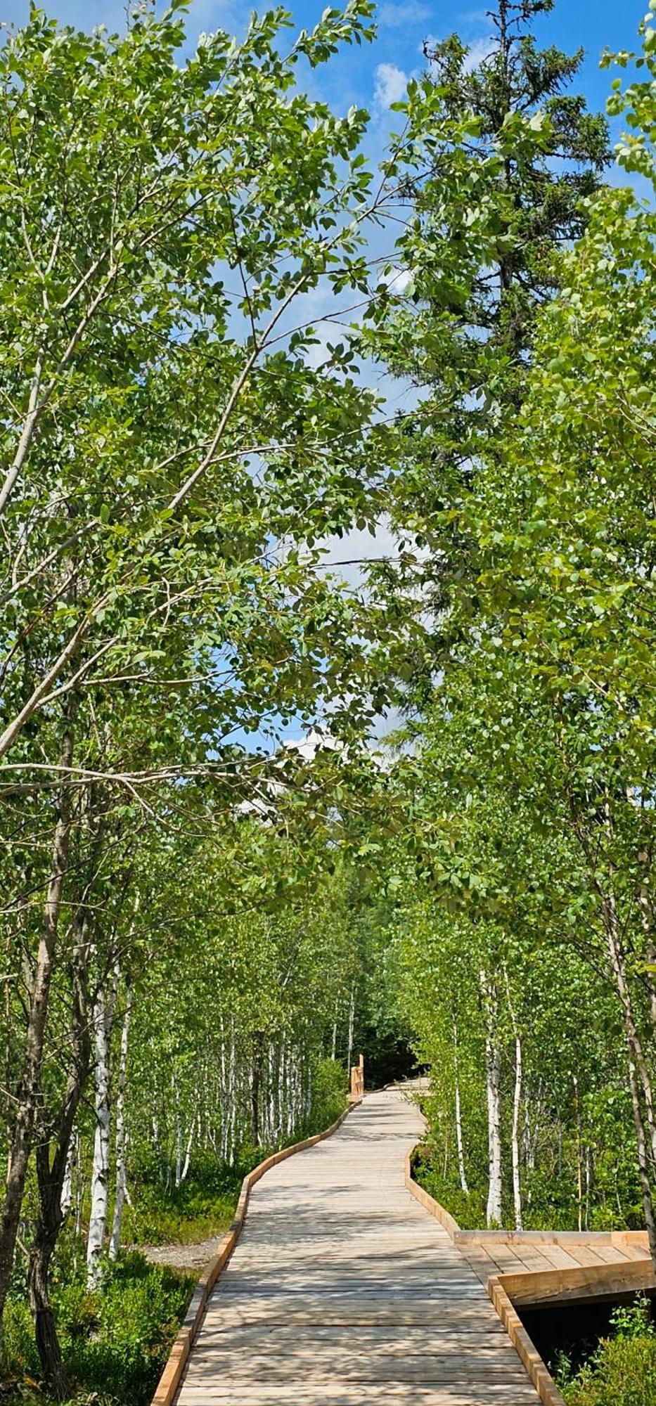 Horska Kvilda - Ubytovani U Chvalu Extérieur photo