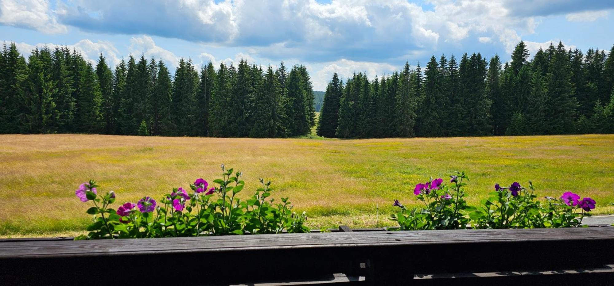 Horska Kvilda - Ubytovani U Chvalu Extérieur photo